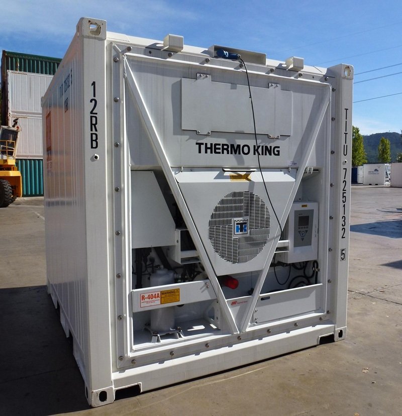 Celle refrigerate portatili da 10 piedi nuove